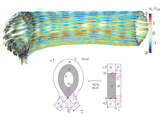 tokamak-gyrofluid.png